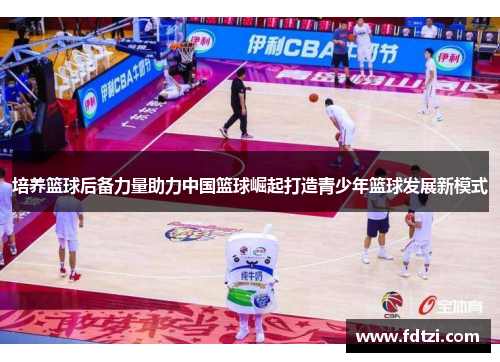培养篮球后备力量助力中国篮球崛起打造青少年篮球发展新模式