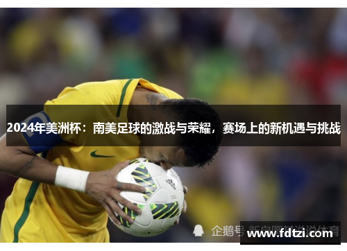 2024年美洲杯：南美足球的激战与荣耀，赛场上的新机遇与挑战