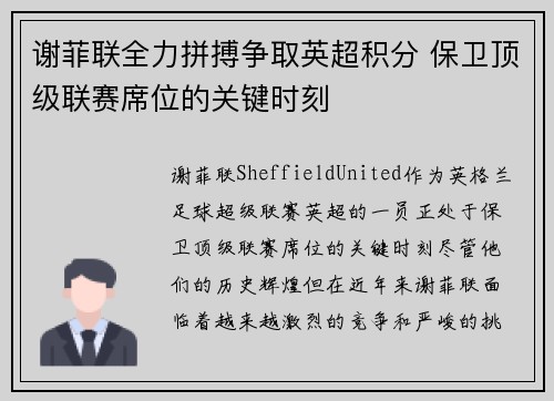 谢菲联全力拼搏争取英超积分 保卫顶级联赛席位的关键时刻